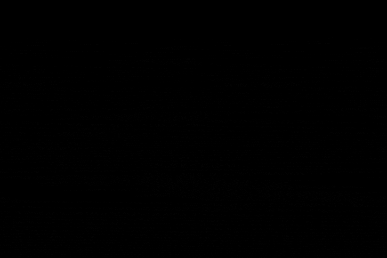 Uber_Logo_Archive_LR